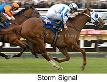 Storm Signal (16519 bytes)