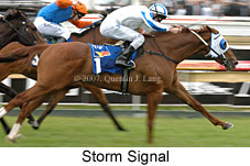 Storm Signal (16519 bytes)