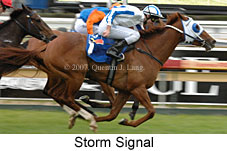 Storm Signal (16519 bytes)