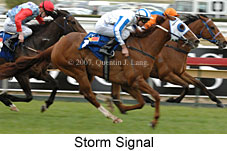 Storm Signal (16519 bytes)