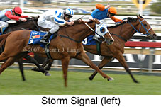 Storm Signal (16519 bytes)