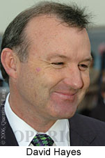 David Hayes (15500 bytes)