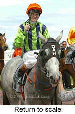 Return to scale (17972 bytes)