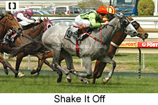 Shake It Off (16519 bytes)