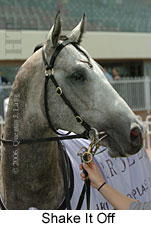 Shake It Off (16519 bytes)