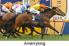 Amerryking (16519 bytes)