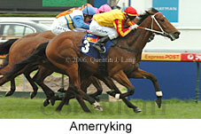 Amerryking (16519 bytes)