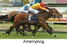 Amerryking (16519 bytes)