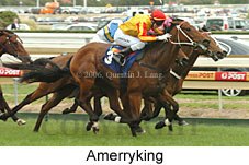 Amerryking (16519 bytes)