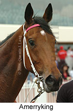 Amerryking (16519 bytes)