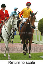 Return to scale (17972 bytes)