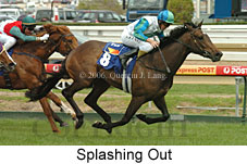 Splashing Out (16519 bytes)