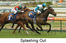 Splashing Out (16519 bytes)