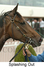 Splashing Out (16519 bytes)