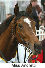 Miss Andretti (16519 bytes)