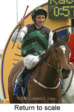 Return to scale (17972 bytes)