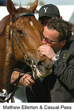 Casual Pass & Mathew Ellerton (15500 bytes)