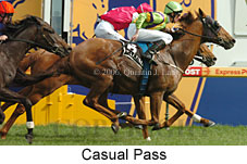 Casual Pass (16619 bytes)