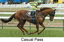 Casual Pass (16519 bytes)