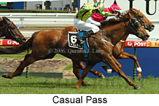 Casual Pass (16519 bytes)