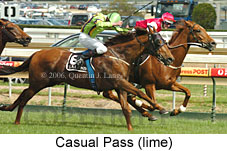 Casual Pass (16519 bytes)