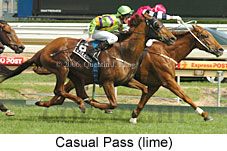 Casual Pass (16519 bytes)