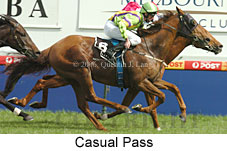 Casual Pass (16519 bytes)