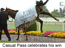 Casual Pass (16519 bytes)