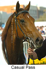 Casual Pass (16519 bytes)