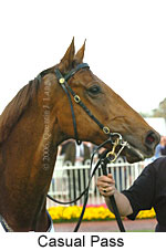 Casual Pass (16519 bytes)