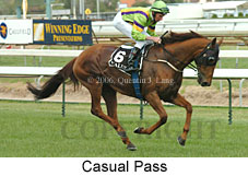 Casual Pass (16519 bytes)