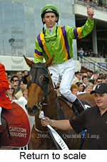 Return to scale (17972 bytes)