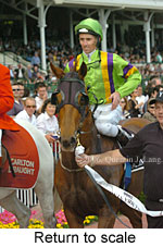 Return to scale (17972 bytes)