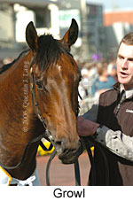 Growl (16519 bytes)