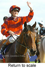 Return to scale (17972 bytes)