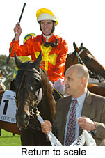 Return to scale (17972 bytes)