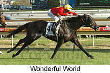 Wonderful World (16519 bytes)