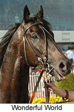 Wonderful World (16519 bytes)