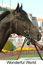 Wonderful World (16519 bytes)