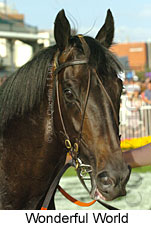 Wonderful World (16519 bytes)