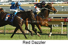 Red Dazzler (15182 bytes)