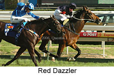 Red Dazzler (16519 bytes)