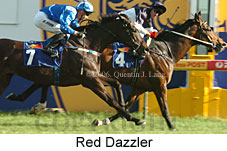 Red Dazzler (16519 bytes)