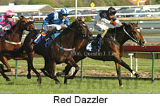 Red Dazzler (16519 bytes)