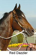 Red Dazzler (16519 bytes)