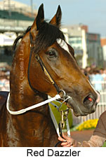 Red Dazzler (16519 bytes)