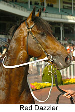 Red Dazzler (16519 bytes)