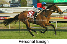 Personal Ensign (16519 bytes)