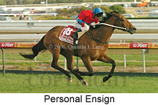 Personal Ensign (16519 bytes)