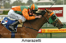 Amarazetti (14772 bytes)